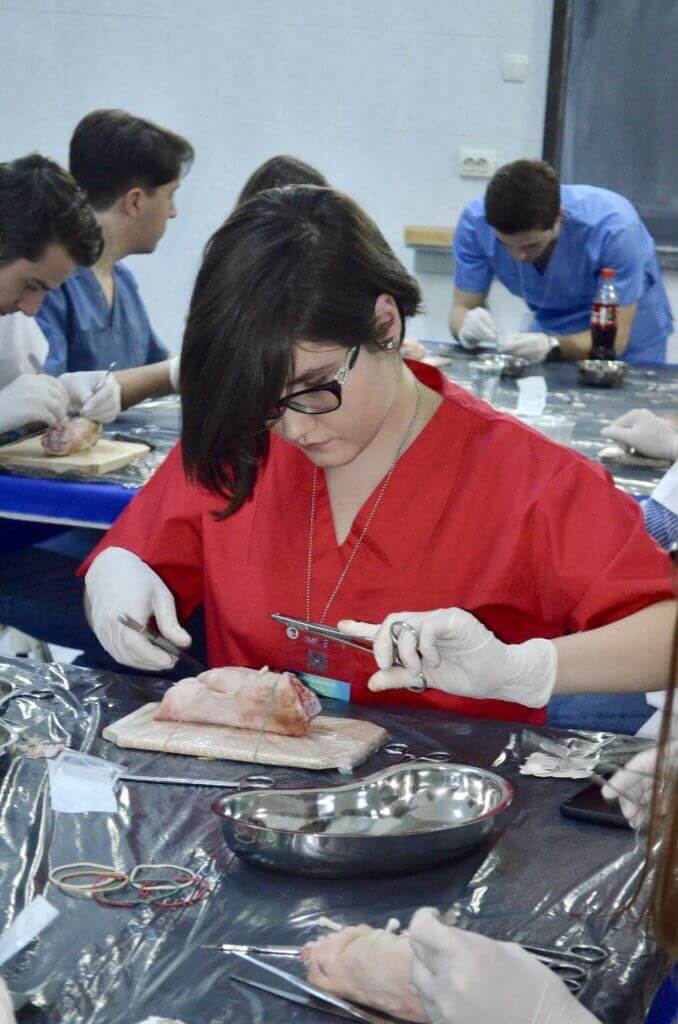 Studenți lucrând la un curs de disecție